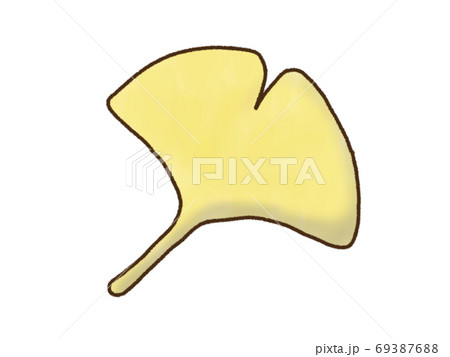イチョウのイラスト素材