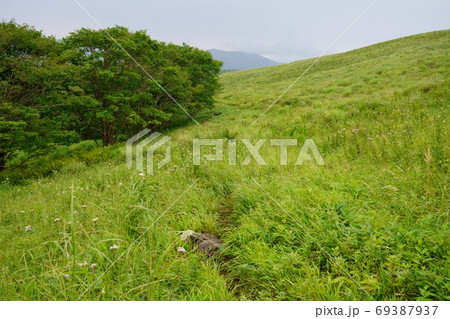 霧ヶ峰草原の道 霧ヶ峰草原の道 69387937