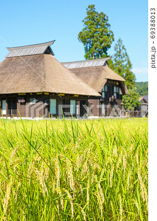 晩夏の農村風景(荻ノ島環状集落) ピント:稲 晩夏の農村風景(荻ノ島環状集落) ピント:稲 69388013