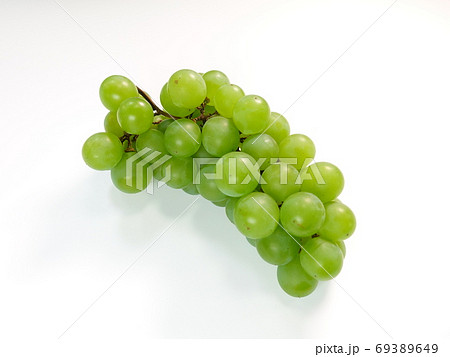 ぶどう　ブドウ　葡萄 69389649