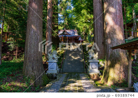 (静岡県)須山浅間神社 参道 (静岡県)須山浅間神社 参道 69389744