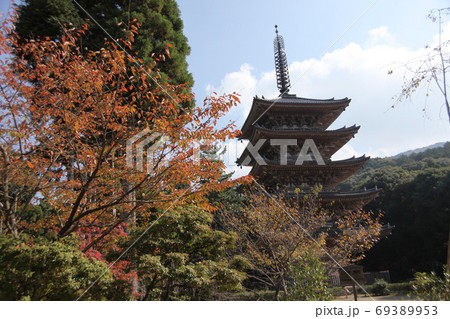 醍醐寺の秋 69389953