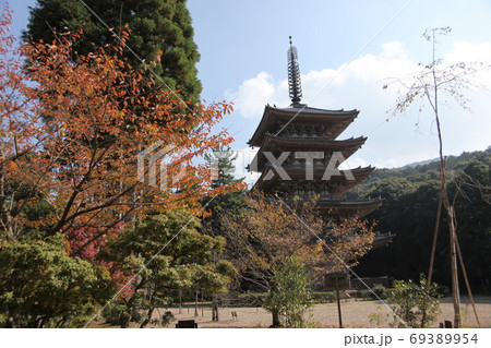 醍醐寺の秋 醍醐寺の秋 69389954