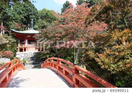 醍醐寺の秋 69390011