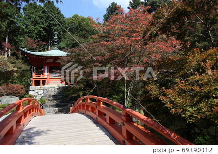 醍醐寺の秋 醍醐寺の秋 69390012