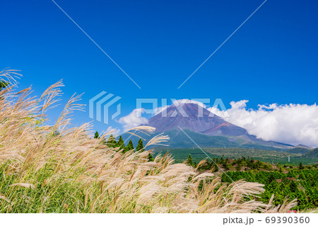 (静岡県)十里木高原展望台から望む、富士山 (静岡県)十里木高原展望台から望む、富士山 69390360