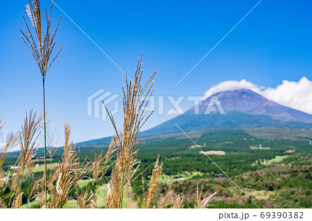 (静岡県)十里木高原展望台から望む、富士山 (静岡県)十里木高原展望台から望む、富士山 69390382