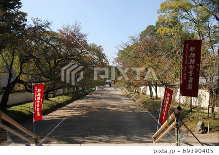 醍醐寺の秋 醍醐寺の秋 69390405
