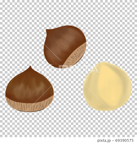 秋の味覚栗の手書き風イラスト 69390575