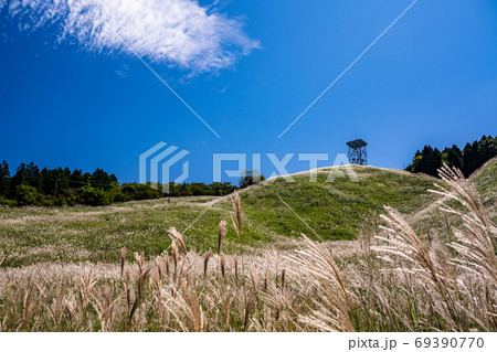 (静岡県)十里木高原展望台 ススキ台地 (静岡県)十里木高原展望台 ススキ台地 69390770