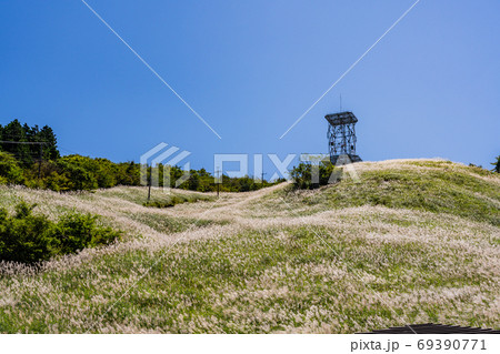 （静岡県）十里木高原展望台　ススキ台地 69390771