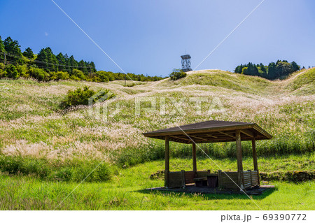 （静岡県）十里木高原展望台　ススキ台地 69390772