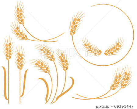 小麦のイラストセットのイラスト素材