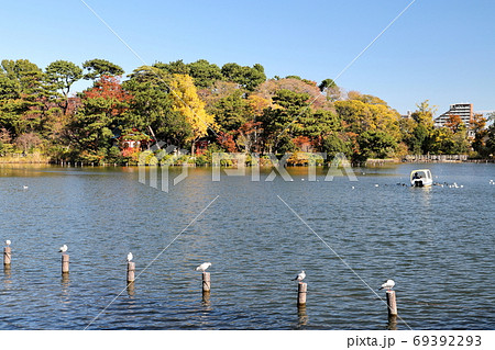 紅葉の洗足池　東京都大田区 69392293