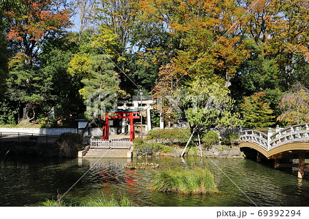 紅葉の洗足池 東京都大田区 紅葉の洗足池 東京都大田区 69392294