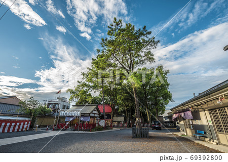 愛知県 名古屋市 別小江神社 愛知県 名古屋市 別小江神社 69392800