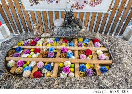 愛知県 名古屋市 別小江神社 愛知県 名古屋市 別小江神社 69392803