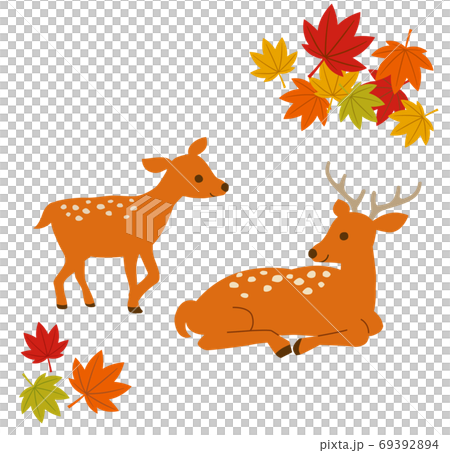 2鹿和秋天的落葉的插圖集 69392894