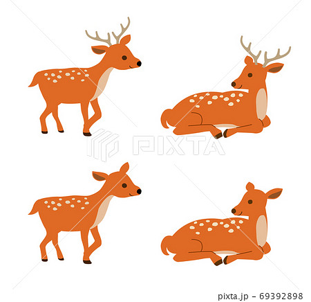 Deer Male And Female Variation Set Stock Illustration
