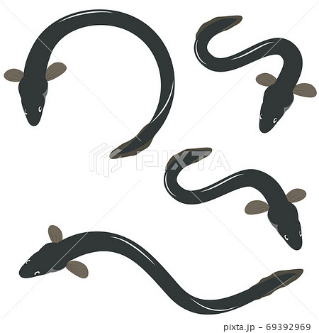 うなぎ イラスト セット うなぎ イラスト セット 69392969