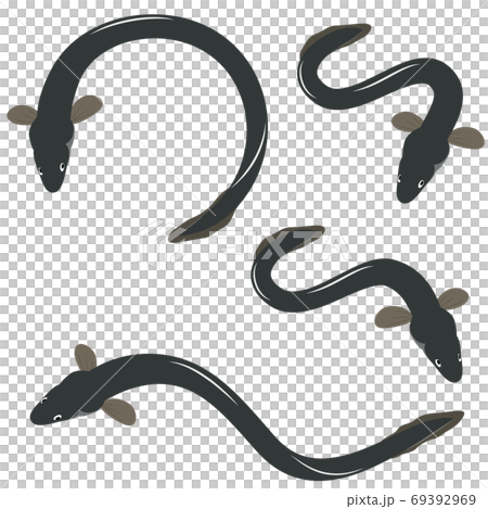 うなぎ イラスト セット うなぎ イラスト セット 69392969