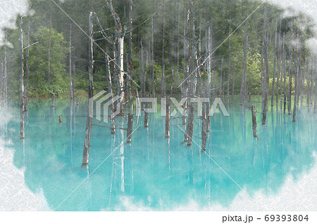 北海道 美瑛の青い池のイラスト素材