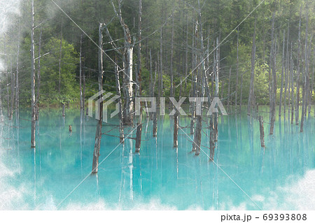 北海道 美瑛の青い池のイラスト素材