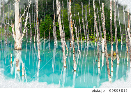 【北海道】美瑛の青い池 【北海道】美瑛の青い池 69393815