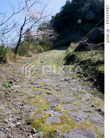 豊後街道を歩く 春の「二重峠の石畳」(熊本県阿蘇) 豊後街道を歩く 春の「二重峠の石畳」(熊本県阿蘇) 69393987