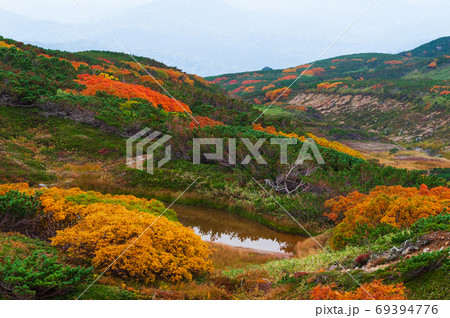 大雪山国立公園 旭岳周辺の紅葉 大雪山国立公園 旭岳周辺の紅葉 69394776