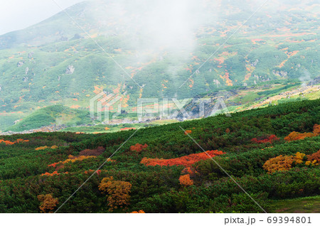 大雪山国立公園　旭岳周辺の紅葉 69394801