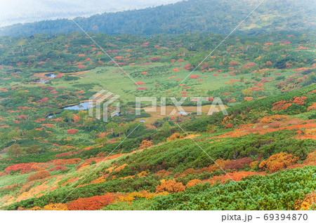 大雪山国立公園 旭岳周辺の紅葉と霧の写真素材