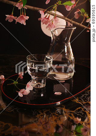 月を愛でつつ花見酒 月を愛でつつ花見酒 69395615