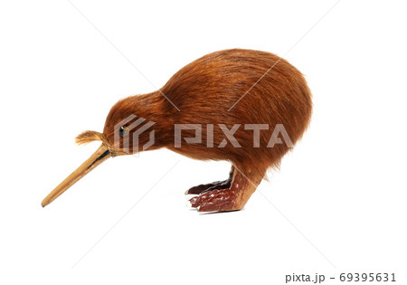 Close-up New Zealand kiwi bird souvenir on white background 69395631