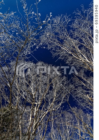 蒼天に映える毛無山稜線の霧氷 蒼天に映える毛無山稜線の霧氷 69395940