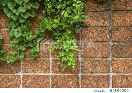 Red brick wall. 69396099