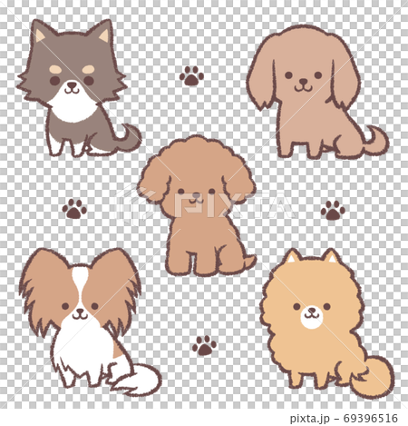 Sitting small dog set Sitting small dog set 69396516