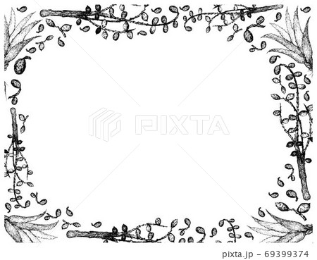 Hand Drawn Frame of Saw Palmetto Berries with Aloe Vera 69399374