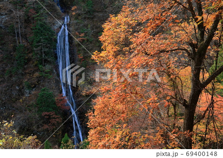 紅葉の丸神の滝 紅葉の丸神の滝 69400148