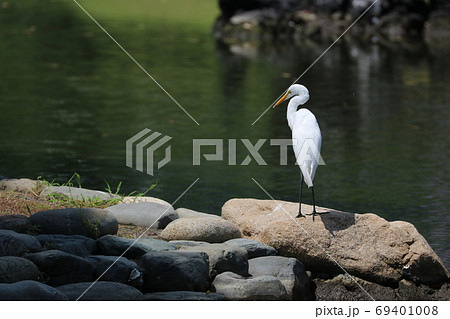 しらさぎ 69401008