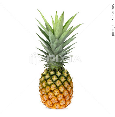 whole of pineapple with green leaves isolated on white backgroun whole of pineapple with green leaves isolated on white backgroun 69401905