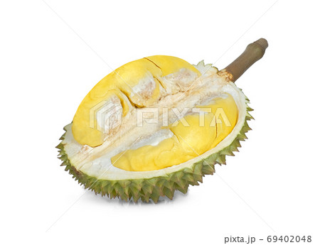 half of durian isolated on white background, king of fruits half of durian isolated on white background, king of fruits 69402048