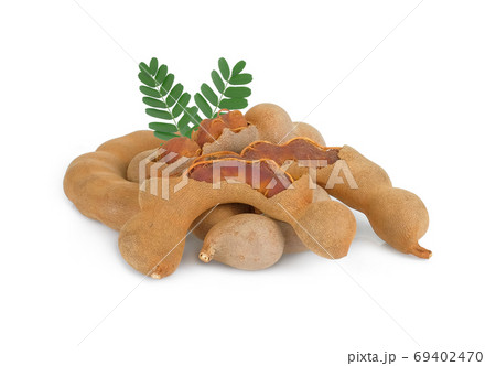ripe tamarind with leaf isolated on white background ripe tamarind with leaf isolated on white background 69402470