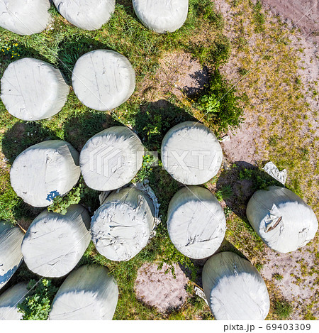 Round bales with silage as animal feed, wrapped in foil Round bales with silage as animal feed, wrapped in foil 69403309