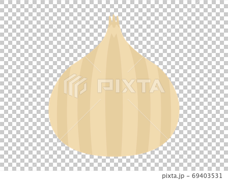 玉ねぎのイラスト 玉ねぎのイラスト 69403531
