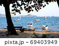 Fishing boats on the beach and big tree on the seashore. 69403949
