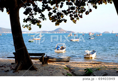 Fishing boats on the beach and big tree on the seashore. Fishing boats on the beach and big tree on the seashore. 69403949