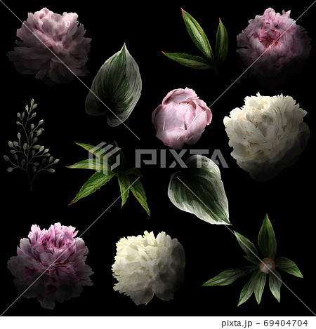 Lush watercolor flowers on the black background with deep shadows 69404704