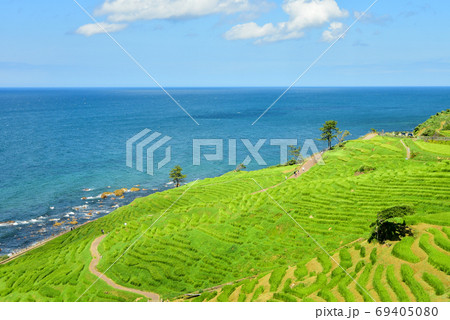 石川県能登半島にある白米千枚田の絶景の写真素材