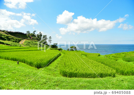 石川県能登半島にある白米千枚田の絶景 石川県能登半島にある白米千枚田の絶景 69405088
